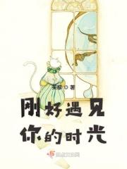 刚好遇见你的时候