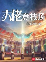 大佬竞速