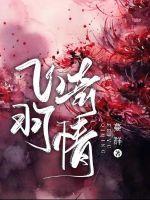 飞羽啥意思