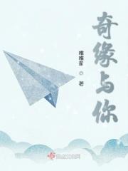 电视剧奇缘