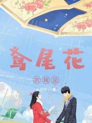 鸢尾花的花语