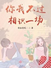 不过相识一场罢了