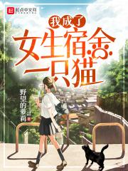 成了女生宿舍的一只猫