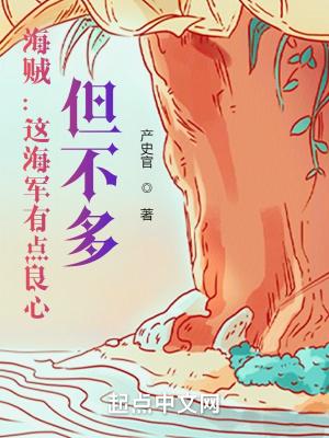 海贼海军实力
