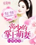 闪婚蜜爱帝少溺宠天后妻免费阅读全文
