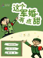 军少撩妻套路深