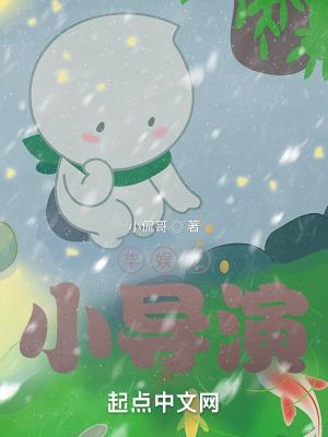 华娱小导演