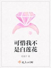 可惜我不是ai