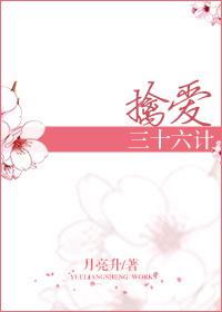 三十六计之擒贼先擒王
