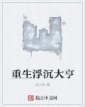 重生之浮沉作者沐声