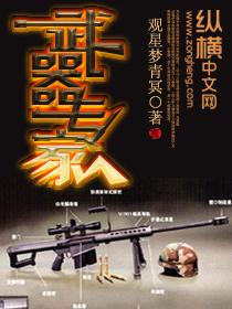 武器专家全文阅读