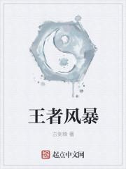 王者风暴传世