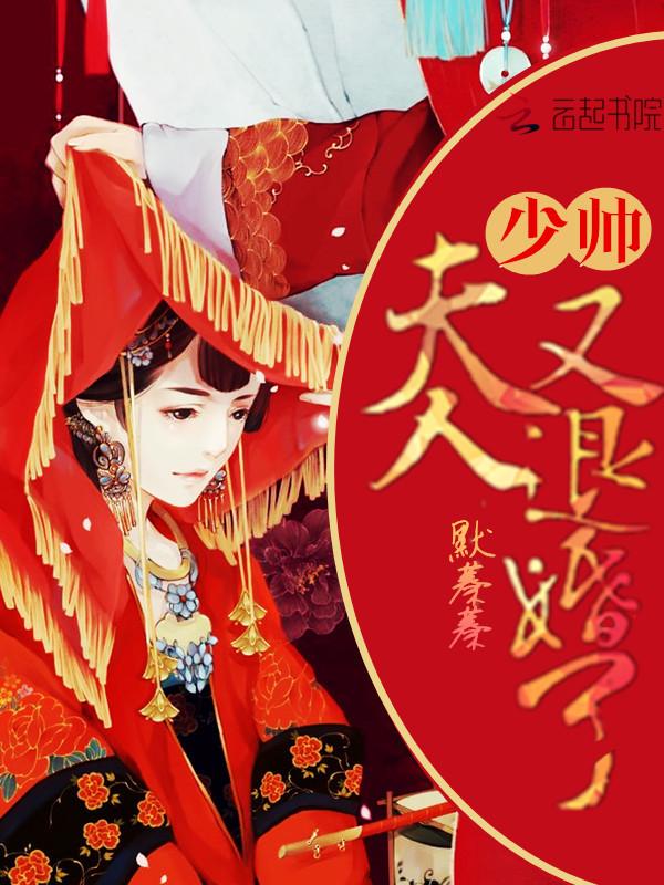 夫人要退婚txt