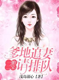 一胎双宝爹地追妻请排队