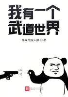 我有一个武道世界 第278章