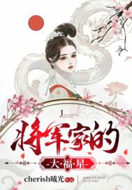 将军家的小夫郎全文免费阅读