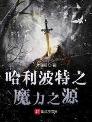 哈利波特之魔法石原著在线阅读