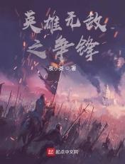 英雄无敌之争锋txt