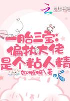一胎三宝大佬娇妻带崽跑