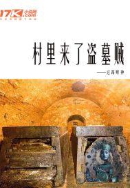村里进贼能查到吗