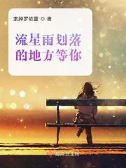 流星划过的一瞬间歌曲名叫什么