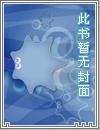 游戏王之背后灵系统